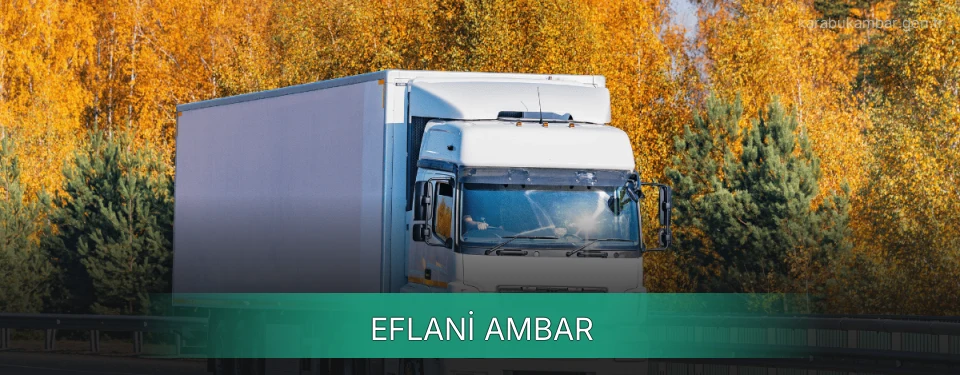 Eflani Ambar Kargo